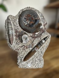 Beautiful Fossil Orthoceras And Gonatite Slab Plaque Standing Base - Raw Unpolished