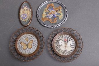 Vintage Pressed Flower & Butterfly Wall Art Lot  Boho Cottagecore Dcor