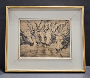 (B103) Vintage Un-Signed Pen & Wash Drawing Of 5 Steer Drinking - In Shadow Box Frame