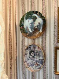 Collector Plates