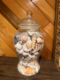Apothecary Jar With Shells
