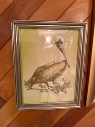Framed Art- Pelican
