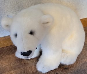 Who Remembers Klondike The Polar Bear