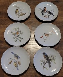 Collector Bavaria Bird Plates