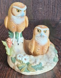 Rare Ski Country 1986 Burrowing Owl Empty Decanter Full Size 750ml Limited Ed