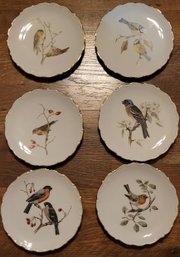 Collector Schumann Arzberg Germany Bird Plate