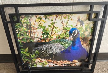 Decorative Framed Peacock Wall Art