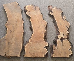 Unfinished Live Edge Slabs