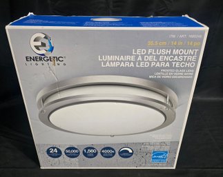 Eccentric Lighting LED Flush Mount Fuxture