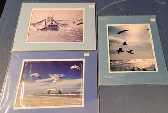 Dan Richards Bird Posters