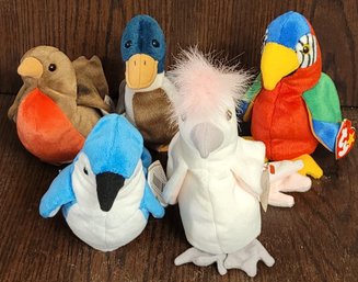 Bird TY Babies