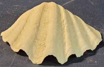 Large Calm Half Shell