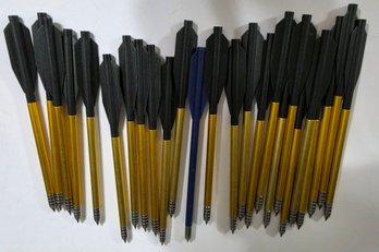 Appears To Be Bear X Desire Mini Crossbow Bolts