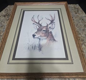 Vintage Framed Print Titled 'White Bearded Buck' By Artist Paul Whitney Hunter
