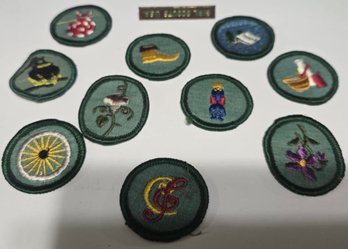Girl Scout Patches And Pins