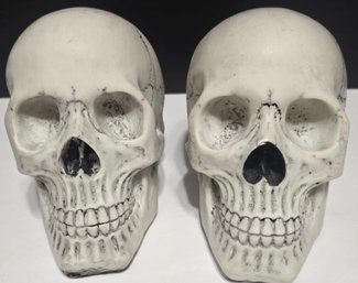 Two Decorative Human Skull Replicas