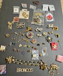 Lot #1 - Group Of Stick Pins, Brooches And More