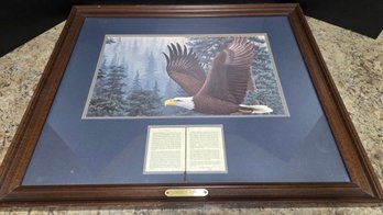 Framed Boundary Waters Eagle By Artist Leo Stans