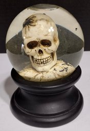 Halloween Skull Snow Globe