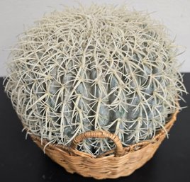 Faux Cactus Plant In Wicker Basket