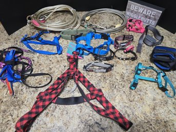 Group Of Pet Collars, Leashes, Harnesses And More