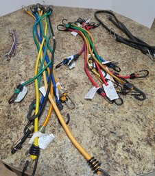 Collection Of Bungee Cords