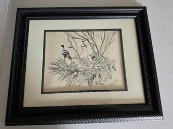 Framed Ink Drawing Of Two California Quail