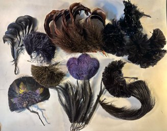Group Vintage Millinery Feathers