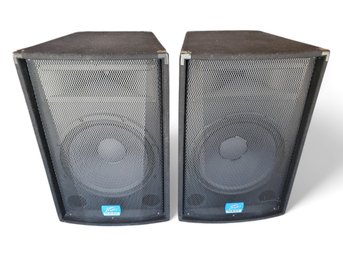 Large Peavey TLS 5X 2-Way 15' PA Speaker Pair