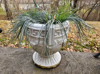 Heavy Concrete Planter #1