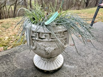 Heavy Concrete Planter #2