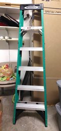 Werner 6' Ladder