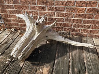Driftwood Tree Trunk Lawn Decor