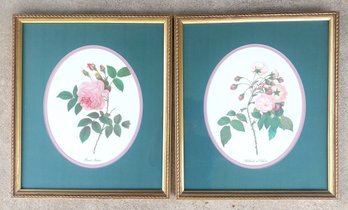 Pair Of Vintage Gold  Framed Botanical Floral Prints
