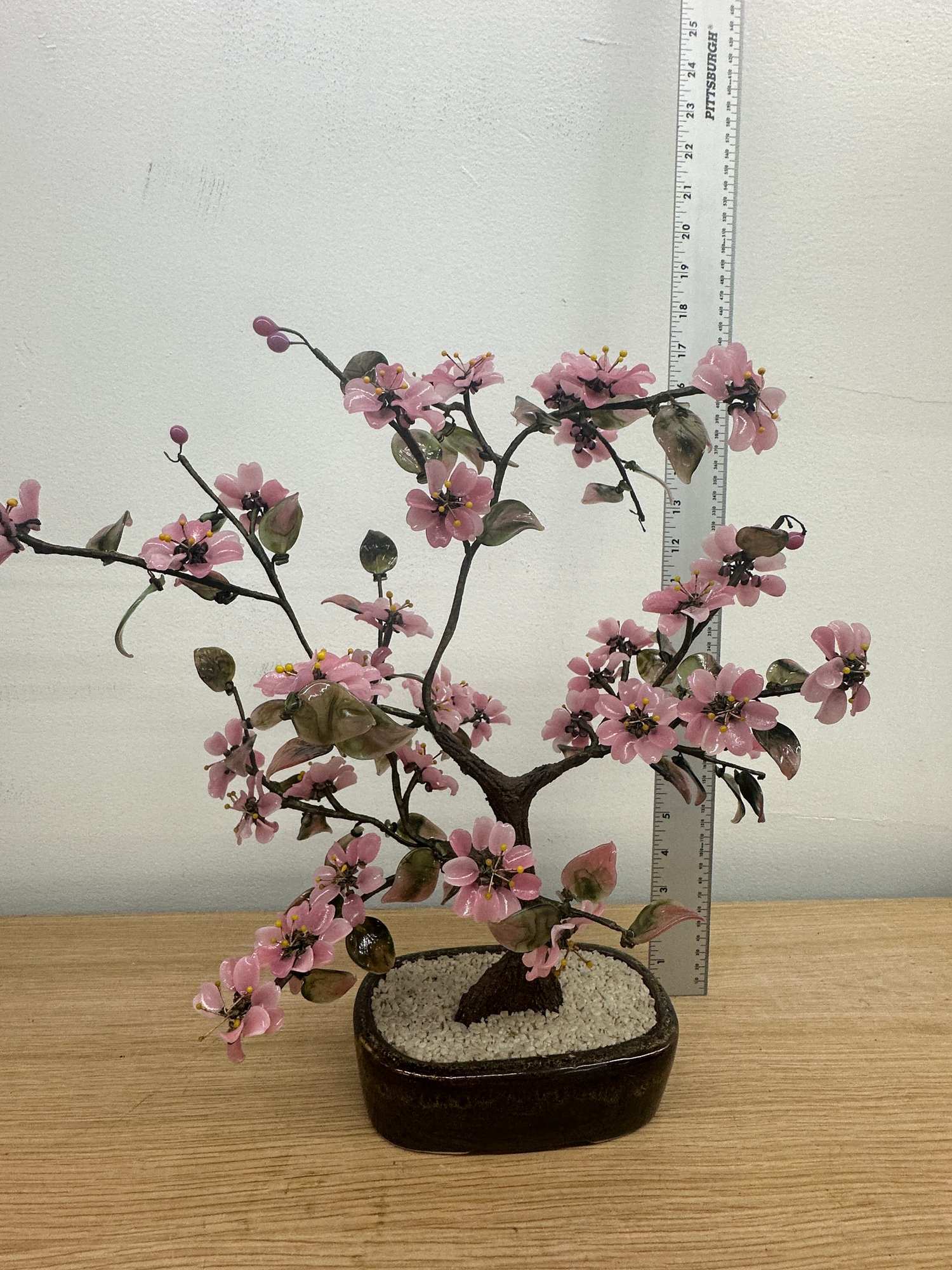 begonia house plant Begonia poilanei for Sale main image 0