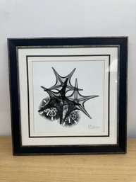 X-ray Starfish By Albert Koetsier