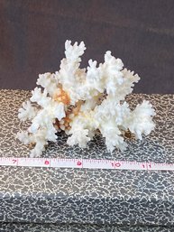 4'x4'x4' Genuine Coral Beautiful.