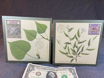 2 Beautiful Framable 6'X6' Postcards.