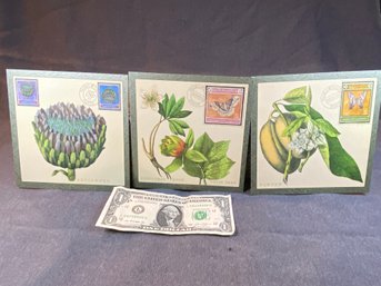 3 Beautiful Framable 6'X6' Postcards.