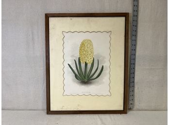 Vintage King Of The Yellows Floral Print