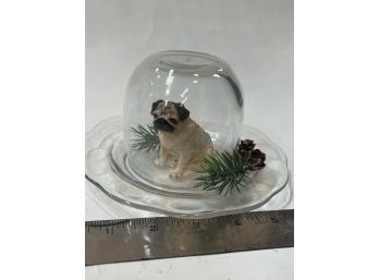 Pug In A Cloche