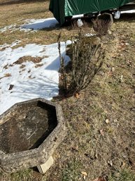 Three Pieces Birdbaths, Bench