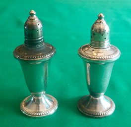 DR#174 Sterling Silver Weighted Salt & Pepper Glass Inserts