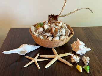 Great Collection Of Small Sea Shells And Starfish In Wicker Basket - 15