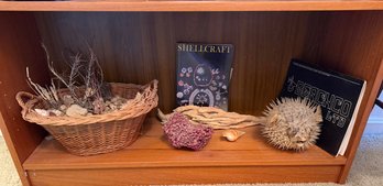 AUTHENTIC Huge Puffer Fish 10 Inch, Organ Pipe Coral, Finger Sponge, Books, Etc - S5