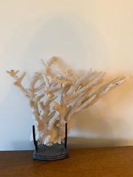 AUTHENTIC Large Stag Horn Coral 15 X 12  - S7