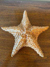 AUTHENTIC Huge Star Fish 11 Inches - S8