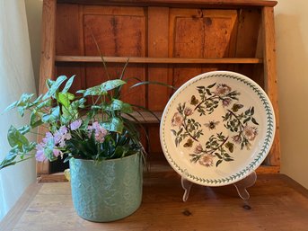 Large Botanic Garden Portmerion Bowl And Living Plant In Pot - K11