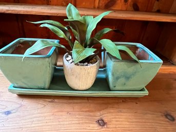 Green Thumb Lot: 3pc Planter Set With Faux Plant - K14