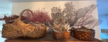 2 Very Large Sea Fans, Large Basket With Shells, Etc -  S11